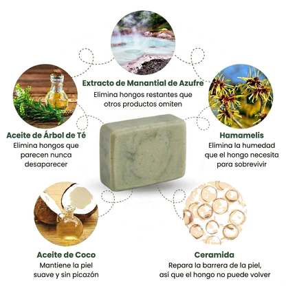 Kutann® — Jabón Antifúngico de Árbol de Té | Piel sana en 14 días